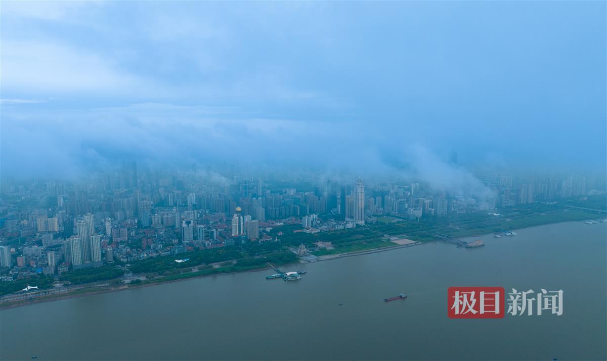 白菜网大全